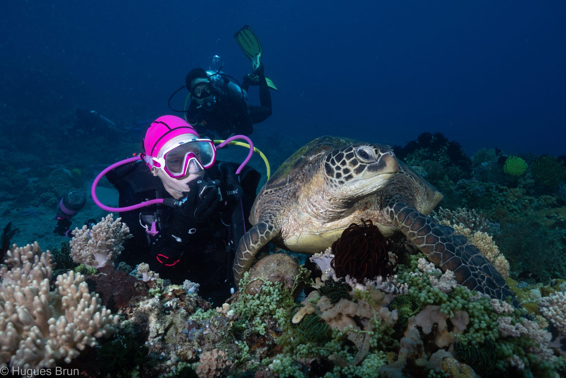 Thalatta Resort dive center