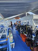 diveshop 02 20250201 082431