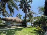 IMG_1273 Medium