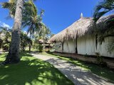 IMG_1342 Medium