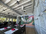 IMG_1335 Medium