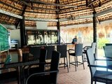 IMG_20240730_092247 Medium