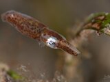 DSC_2328 Medium