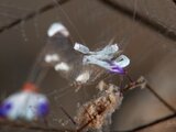 DSC_5398 Medium