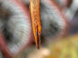 DSC_5697 Medium