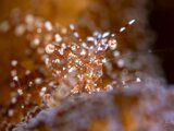 DSC_5781 Medium