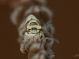 DSC_6039 Medium